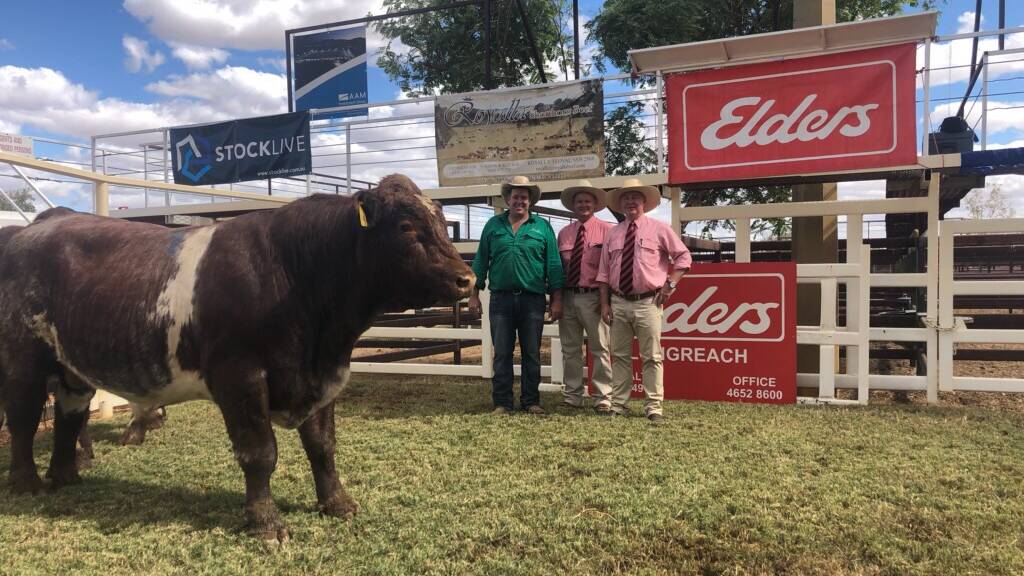 Pictured with the top priced bull were Royalla principal Nicholas Job, Longreach Elders branch manager Tim Salter, and Elders stud sales representative Andrew Meara. Picture supplied.