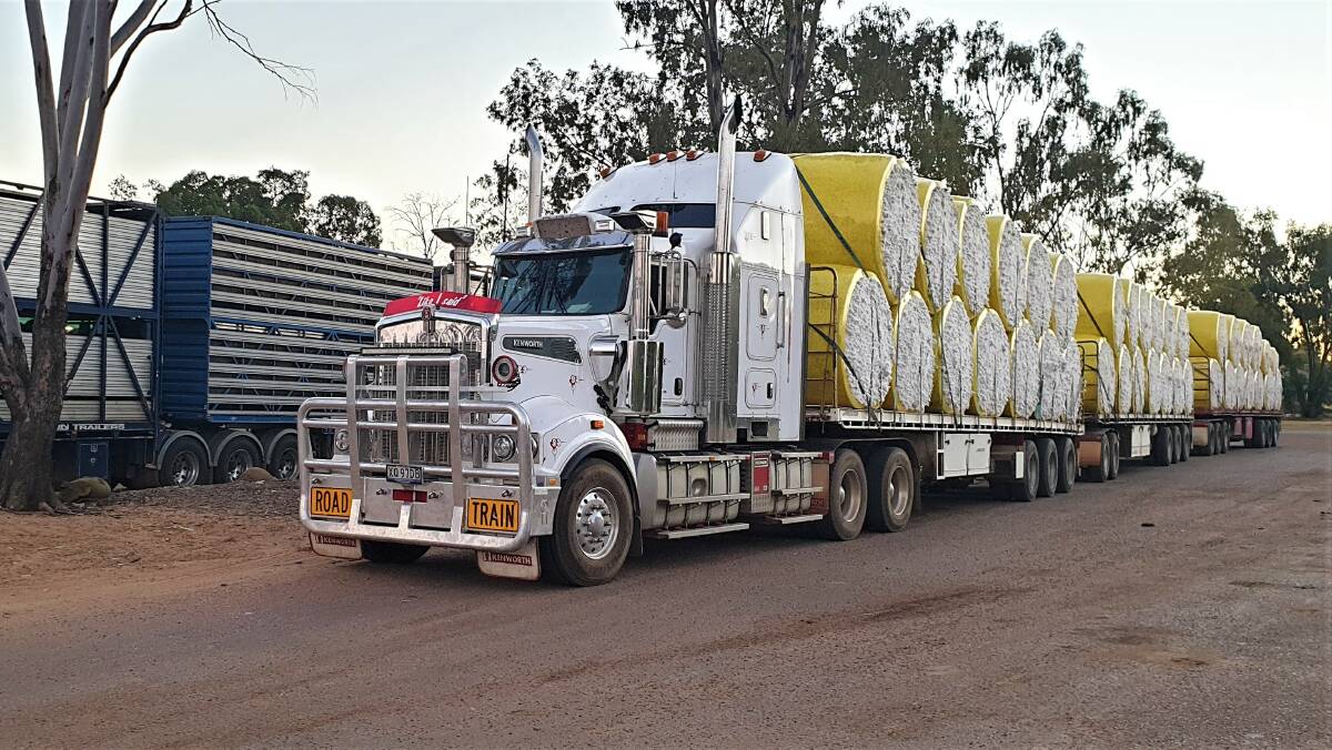Moving the Western Australian and Northern Territory cotton crops to southern Queensland gins this year has involved triple road train journeys of thousands of kilometres.