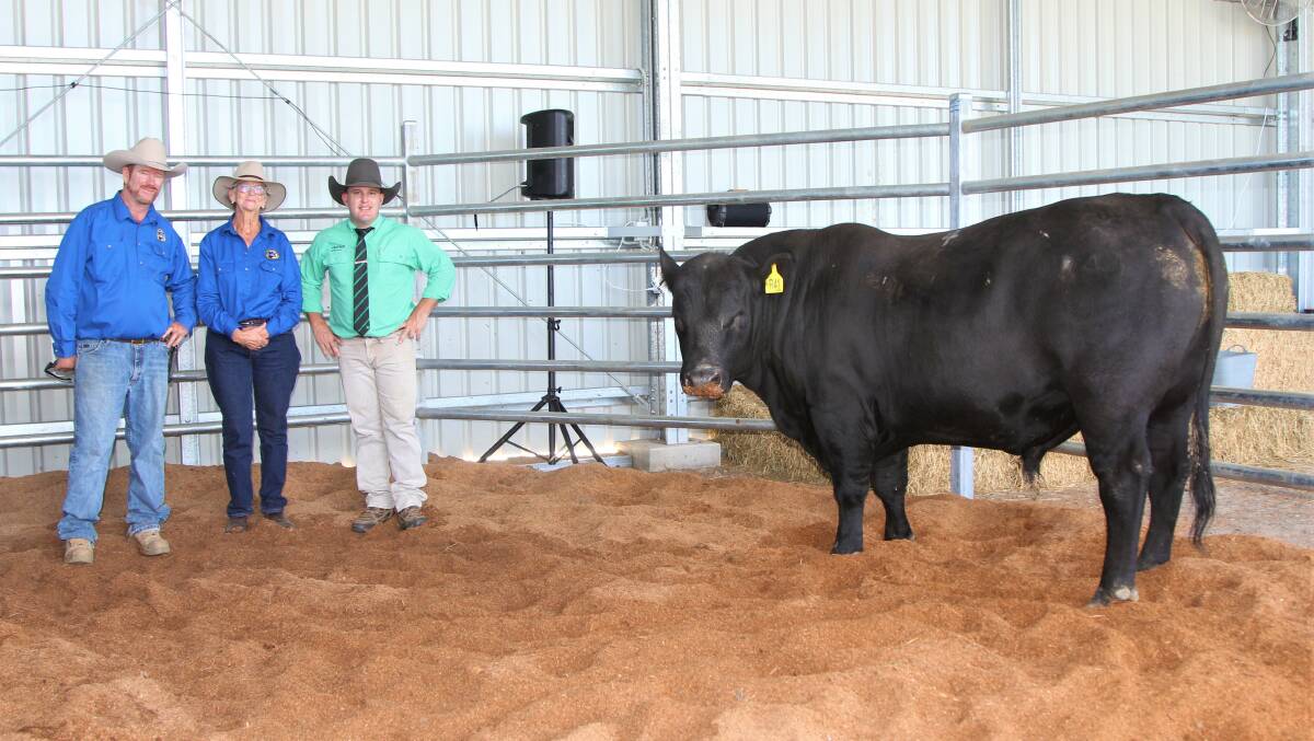 Wallangra principals Troy Whip and his mother Margaret Whip with Nutrien auctioneer Dane Pearce and the top priced bull, Wallangra Road Runner R41. Pictures: Sally Gall