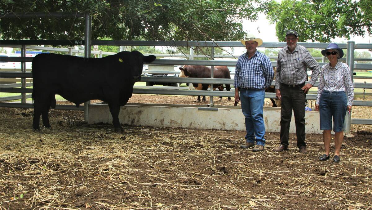 Ian Durkin, Mountain Valley Angus, Coolatai NSW with Peter and Margie Wade, Ravenscourt, Charleville and the equal top priced bull of the 2020 Black Stump sale.