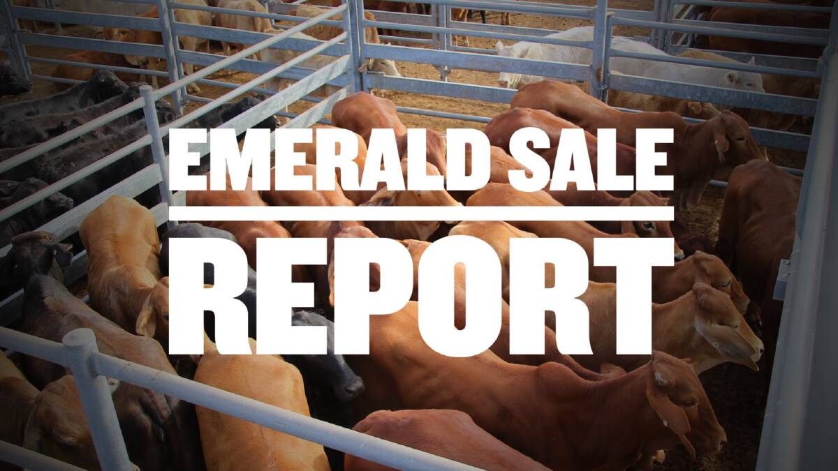 Yearling steers sell to a top of 565c at Emerald