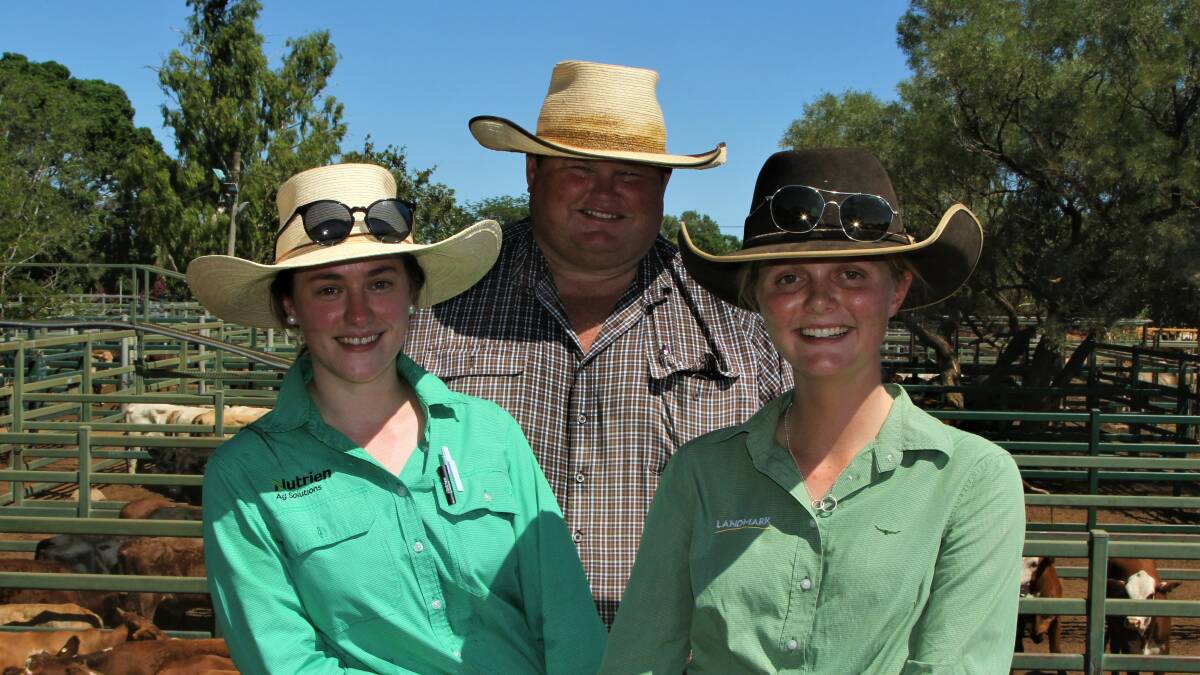 Jeremy Barron was busy auctioneering for Nutrien at the Blackall cattle sale on Thursday, working alongside Georgie Atkinson and Jess Curran. Picture - Sally Gall.