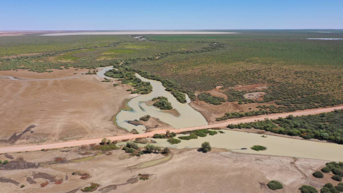 Cuttaburra Crossing, part of the Georgina River catchment in the Lake Eyre Basin. Pictures: Sally Gall
