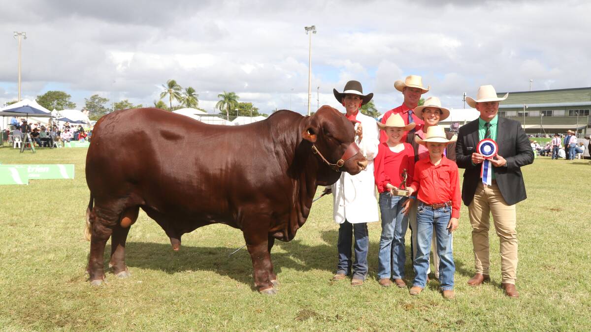 Kasey and Daniel Phillips and their children Taylor and Brian, holding grand champion Santa Gertrudis bull, Murgona Raider, with judge Erica Halliday and Nutrien's Colby Ede. Picture: Sally Gall