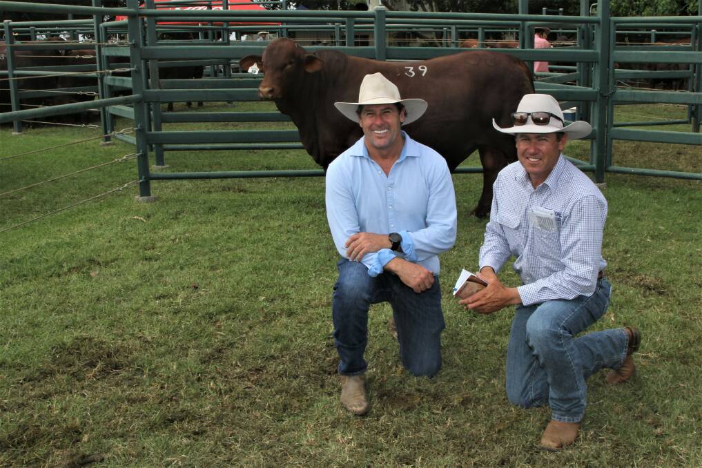 Yarrawonga Cattle Co's Andrew Bassingthwaighte, purchaser of the top-priced bull for $45,000, and Strathmore Santa Gertrudis representative Ben Walker.