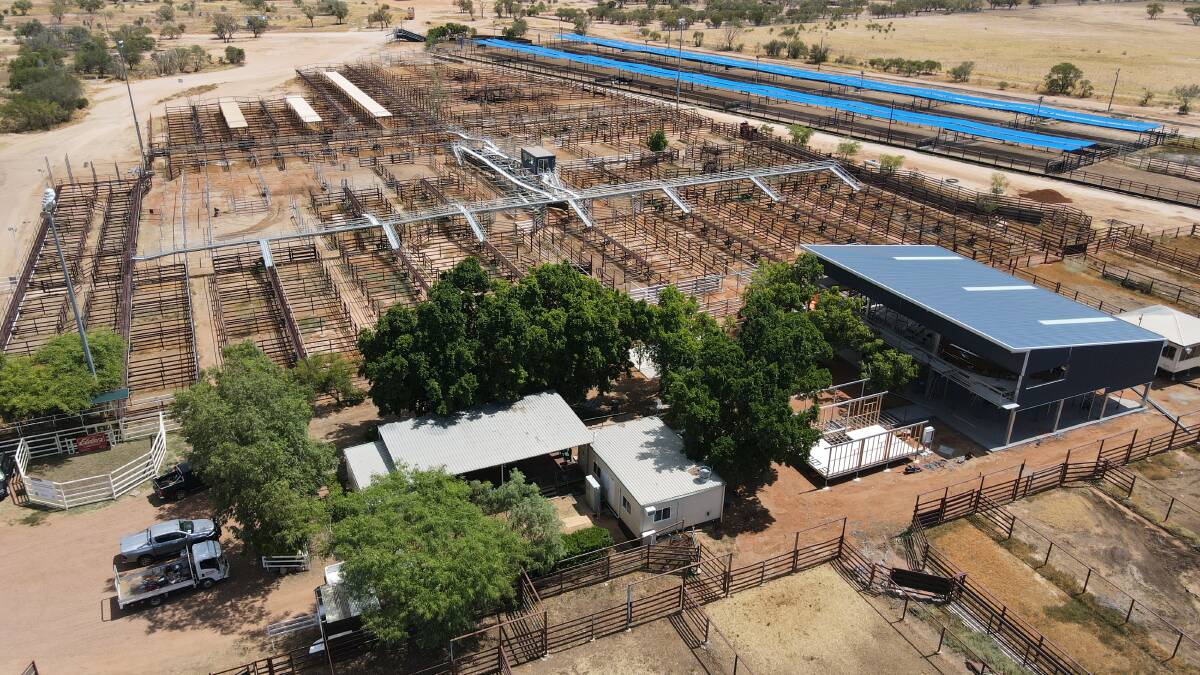 An overview of the redeveloped WQLX saleyard at Longreach. Picture: Nick Murphy