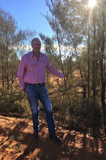 Quilpie Shire Mayor Stuart Mackenzie wants to see a cap placed on how much of a property can be locked up for carbon farming.