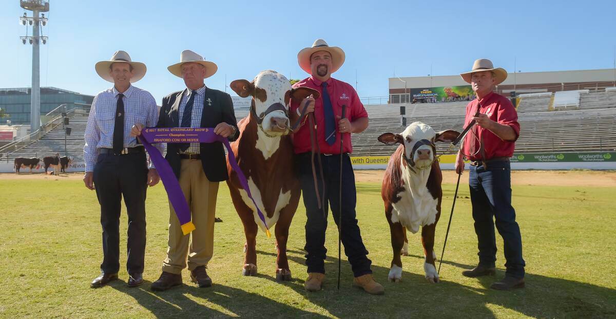 Champion cow, Little Valley Brie, with Robert Klies, judge Glen Pfeffer, Cameron Bennett and Winston McNamara.