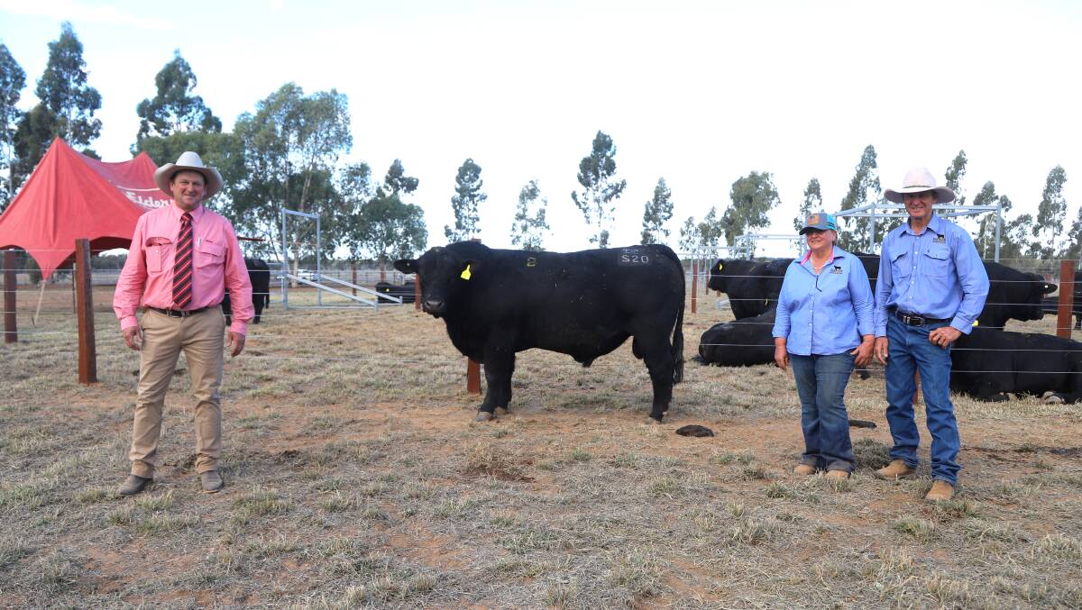 Dave Phillips, Elders Mitchell manager, and Fairview stud principals Roslyn Ware and Tony Horvath, with the top priced bull, Fairview Swagger S20. Picture: Sally Gall