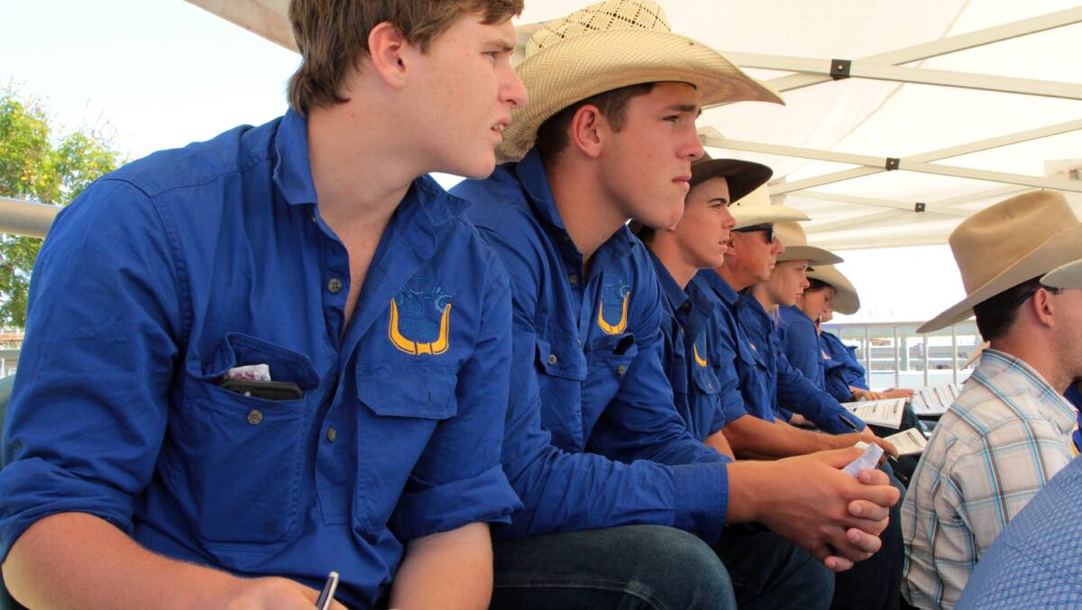 Longreach Pastoral College students taking in the bidding for genetics at the Topstock sale.