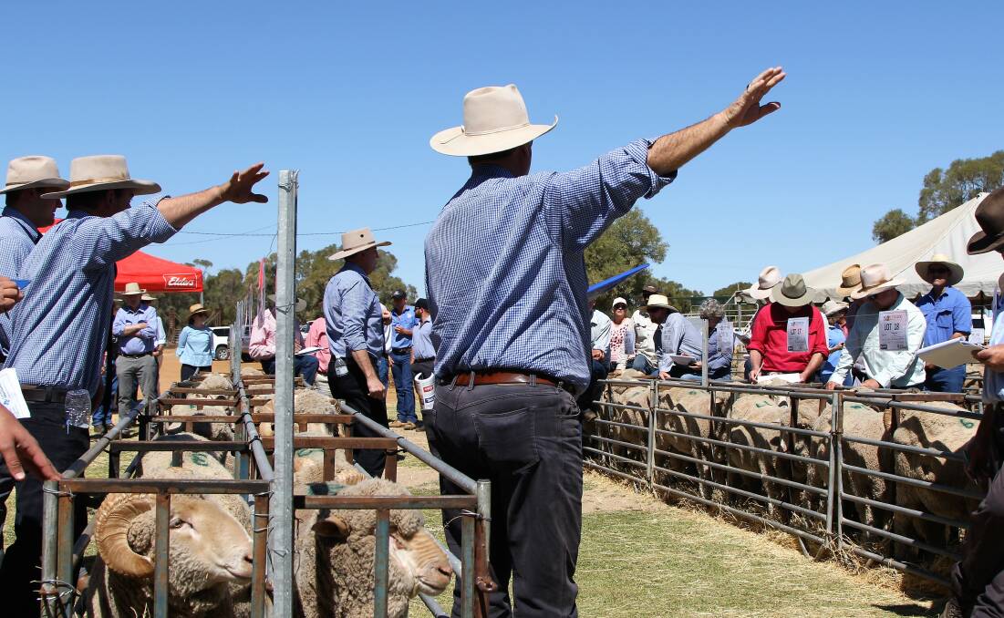 Raise you one: GDL agents taking bids in a frenetic selling period for the Terrick Merinos ram sale. Pictures: Sally Cripps.