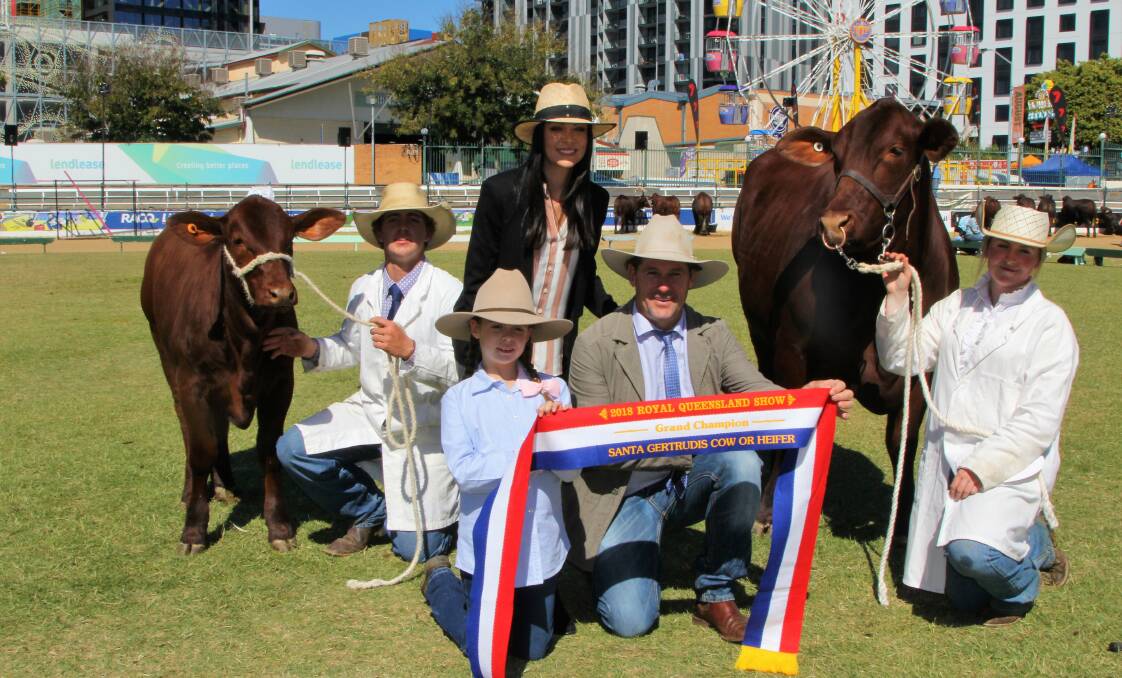 Showing the grand champion Santa Gertrudis female, Yarrawonga Gypsy, are Isaac Hegarty, Fiona, Addison and Andrew Bassingthwaighte, and Sarah Peters.