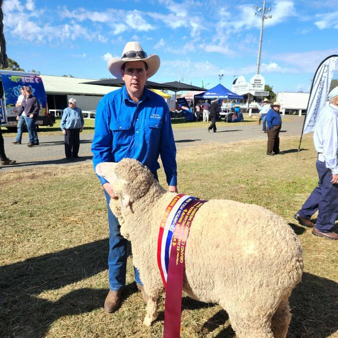 Michael Evans and one of his prizewinning Merinos, taken at the Nyngan Show last week. He then brought a team of six Tambua sheep to Queensland's State Sheep Show at Charleville. Picture: Sally Gall