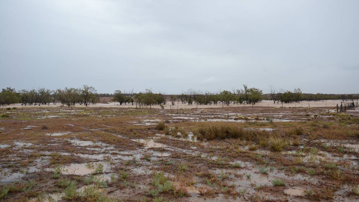 The conditions stock were exposed to around the central west on Anzac Day.