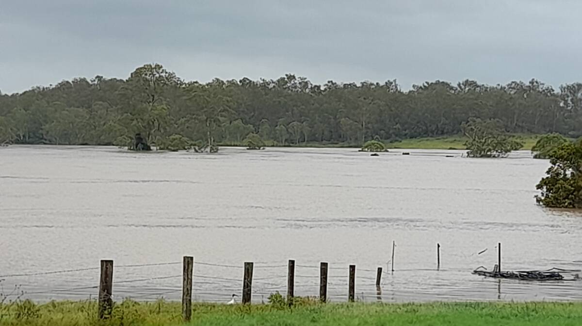 Flooding across Rob and Kirstie Orphant's paddocks at Gunalda, near Gympie. Picture supplied.