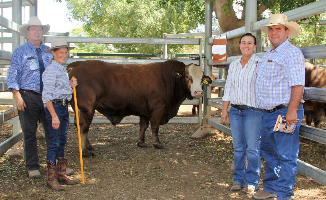GDL stud stock salesman Peter Brazier, Noanga stud principal Janet Allan, with Noanga Parker and purchasers Mel and Clayton Arnold, Muttaburra.