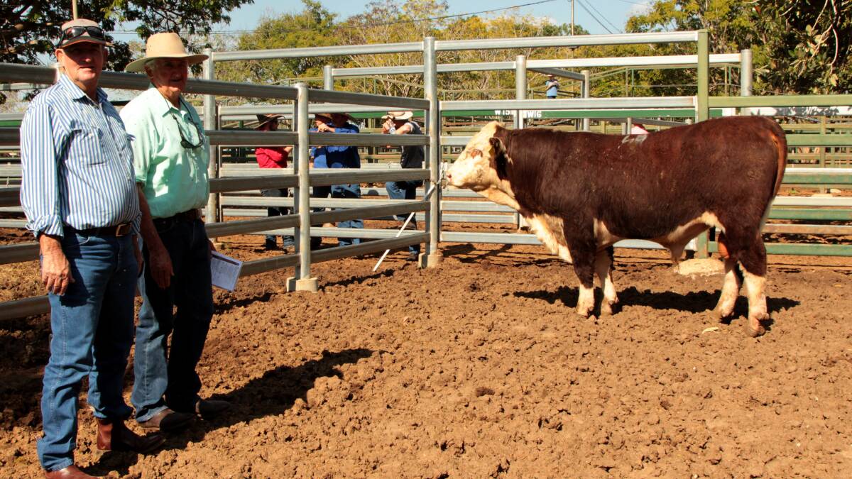 Greg Glover, Prospect, Tambo and stud principal Pat Bredhauer with the top priced bull in the selection put together by the Glovers, Lambert Kingaroy, which they paid $6000 for.
