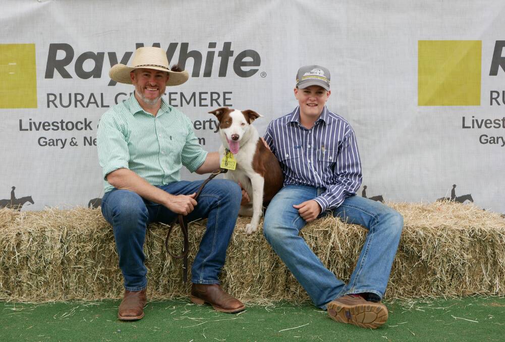 Joe and Amos Leven with lot 30, Cabra Glebe Jenny, who sold for $38,000. Picture: Ellouise Bailey