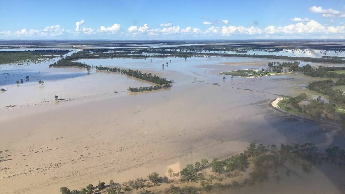Saturated cropping land in the Goondiwindi region. Picture: Chris Edmonds