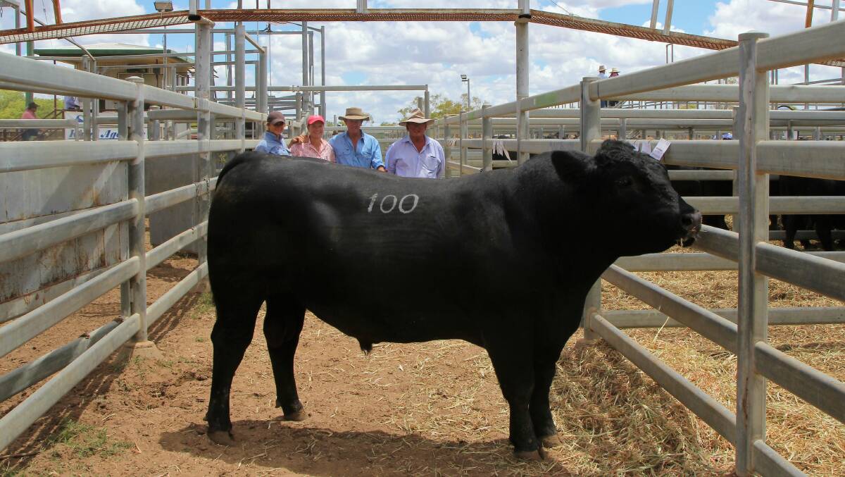 Elle, Sara and Nick Moyle with Australian Topstock representative, James Lilburne, and the top priced bull of the sale, Pathfinder Genesis M168.