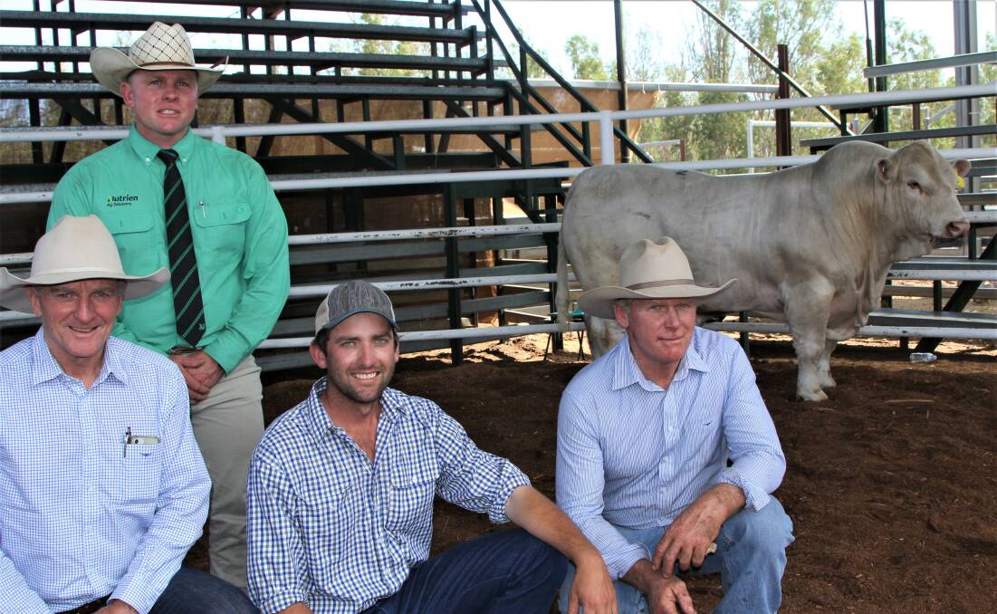 Nutrien's Colby Ede with purchasers Jim Wedge, Ascot Charolais, and Ryan Holzwart, Bauhinia Charolais, vendor Ivan Price, and the sale's top priced bull, Moongool Pilgrim.