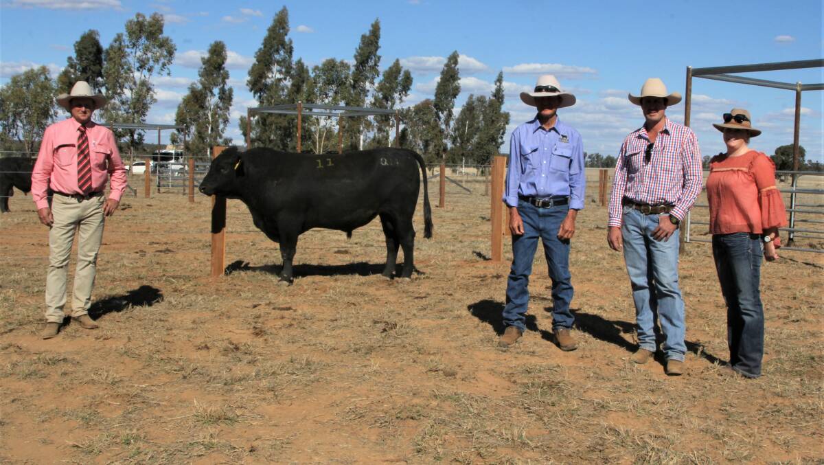 David Phillips, Elders Mitchell, with Fairview stud principal Tony Horvath and purchasers of the second-top priced bull, Peter and Cassie Ryan, Ularunda, Morven.