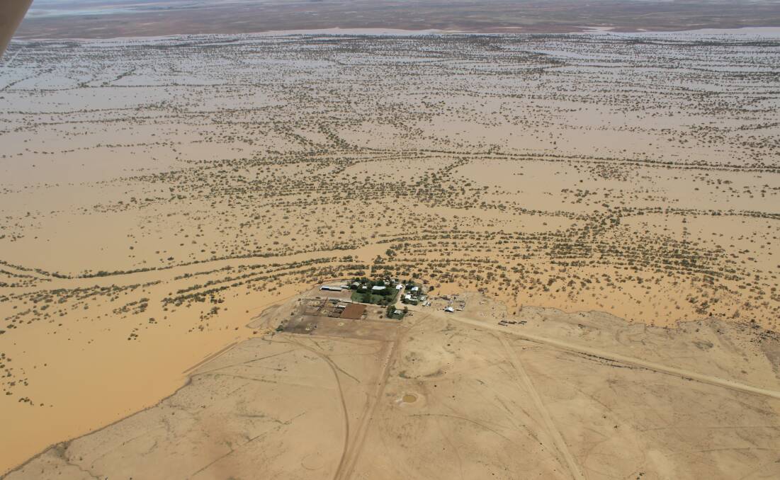 The Davenport Downs homestead perched on the edge of the Diamantina River flood in mid-March. Photos by Ross Myhill.