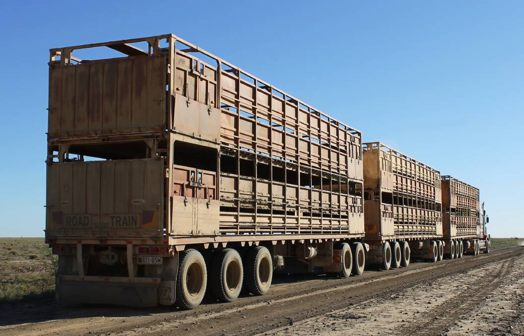 Livestock and Rural Transport Association of Queensland vice-president Mark Collins said access for Type 2 road trains to the Roma Saleyards was a major win, but the 7pm to 7am curfew does not help manager driver fatigue.