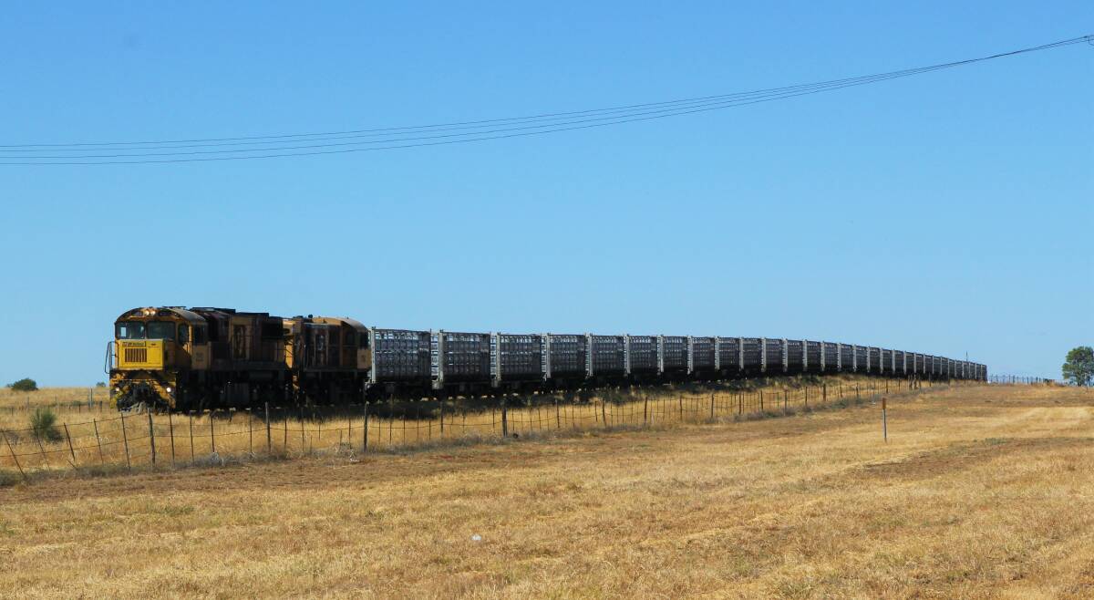 Key industry stakeholders are understood to have reacted positively at a consultation forum to the program of works undertaken by Aurizon and the transport department on faulty livestock rail wagons, including modifications to the ramps. Photo - Sally Cripps.