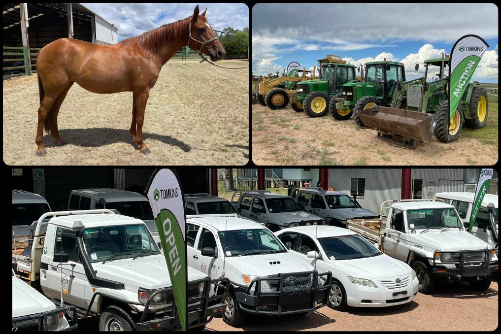 Horses and machinery from the former Emerald and Longreach colleges were sold online by Rockhampton auction house Tomkins recently.