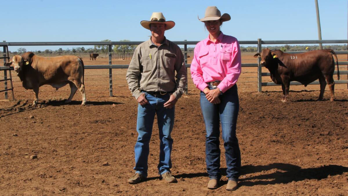 Double up: Purchaser of the two top priced bulls, Frank Atherton, with one of the stud managers, Lucy McGuire, and the two bulls. Picture: Sally Cripps.
