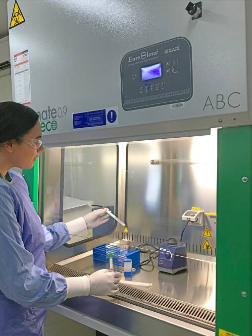 Pathology Queensland Longreach Hospital Medical Scientist Lucy Ballard drops a swab sample into a liquid medium inside a Biological Safety Cabinet to prepare it for analysis. Picture supplied.