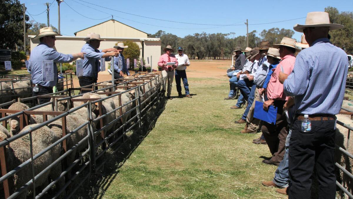 Bidding was fast and furious at the Terrick Merinos sale, held at the Blackall Saleyards.