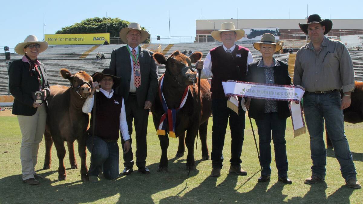 Grand champion Red Angus cow, Black Diamond 35X Mistress, with Elders representative, Lisa Hedges, Christie Kennedy, judge Peter Fall, Greg Fuller, Lorna Will,  Kelynack Red Angus, and Andrew Kennedy.