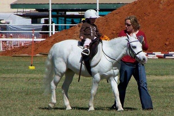 Sophie competing at her first show as a 15-month-old.