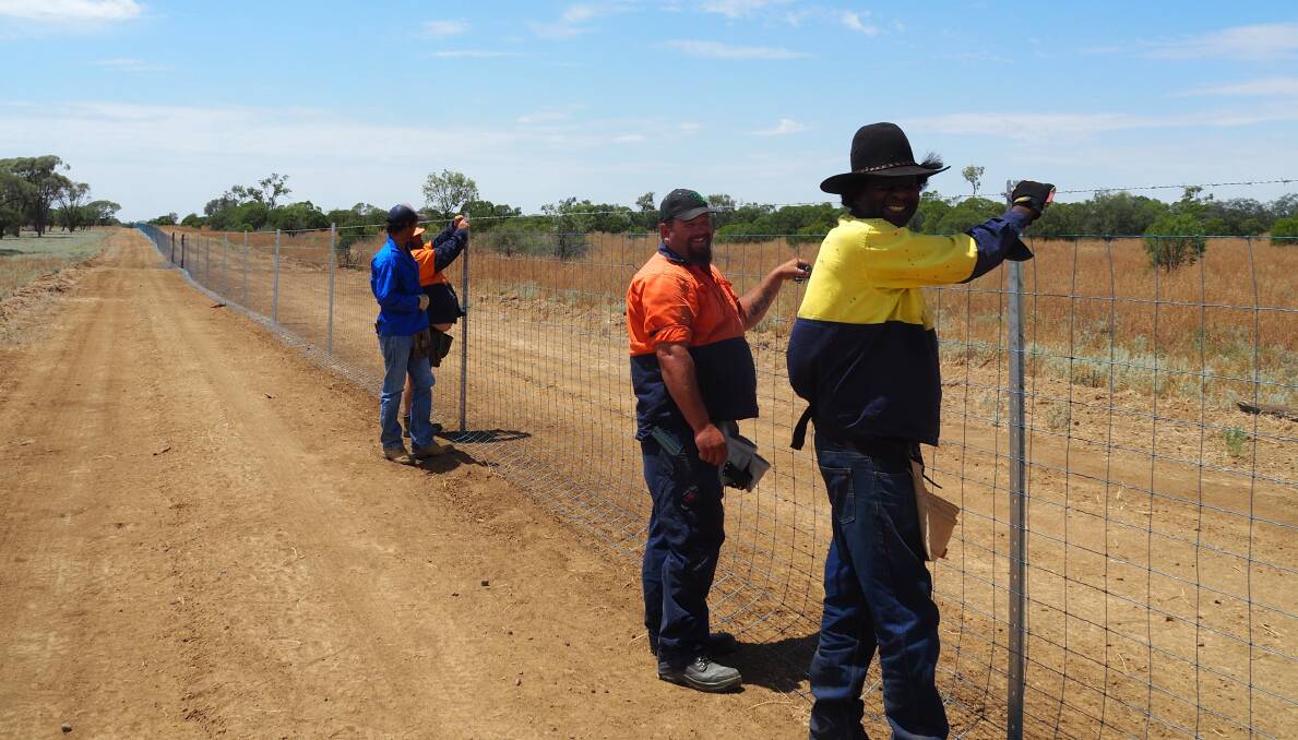 Building capacity: A group of RESQ jobseekers fencing at Rotherfield in the Longreach district. Photograph supplied.