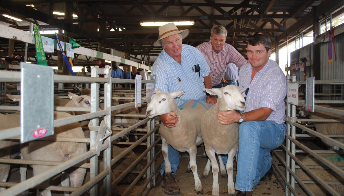 Peter and William Hood at the Toowoomba Royal Show in 2019. Prime lamb winners from Toowoomba and seven other shows will be eligible for the Champion of Champions contest. Picture - Victoria Nugent.