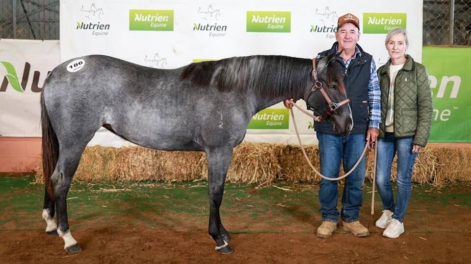 The top priced led filly, Bobadil Metalic Maduri with vendors Richard and Suzy Kelaher, Bobadil, Tamworth, was sold to Mick and Hayley Hughes. Picture: Penwood Creations