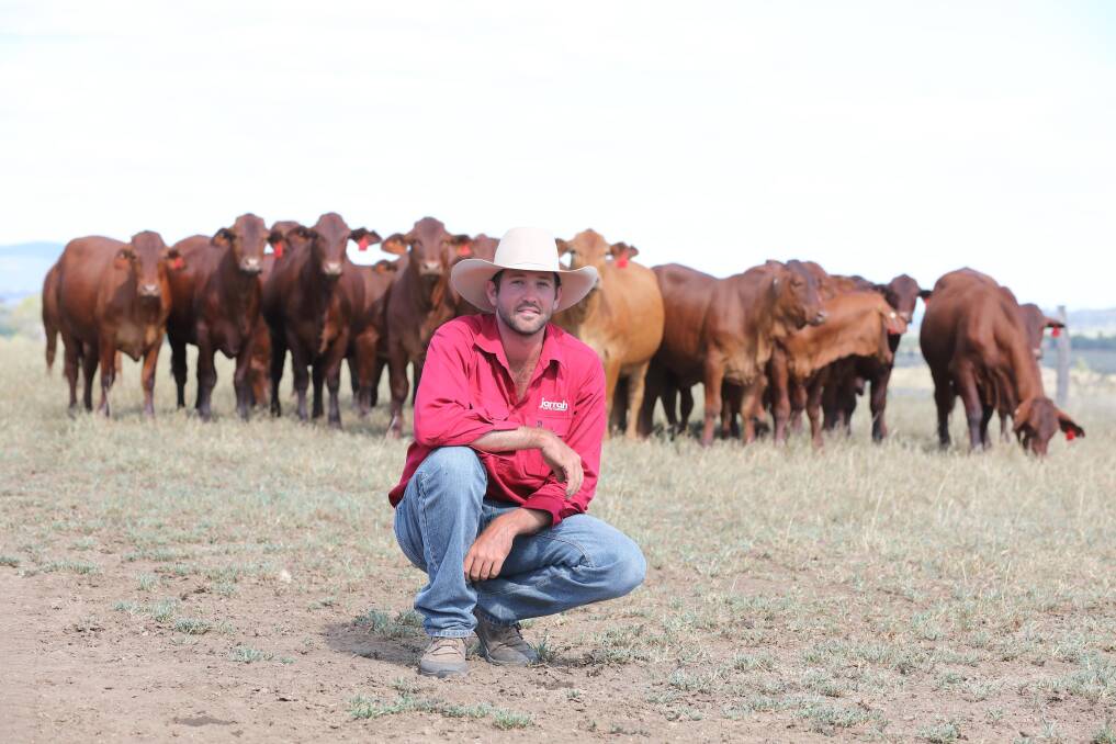Central Queensland beef producer Sam Becker.