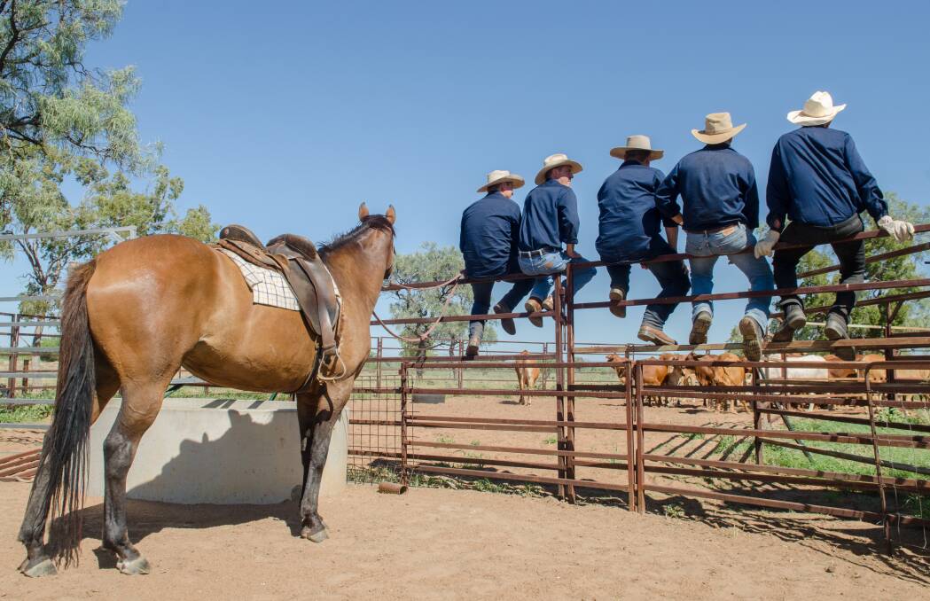 City business executives are taken out of their comfort zone and challenged with unfamiliar teamwork tasks as part of the Outback School of Business ethos.