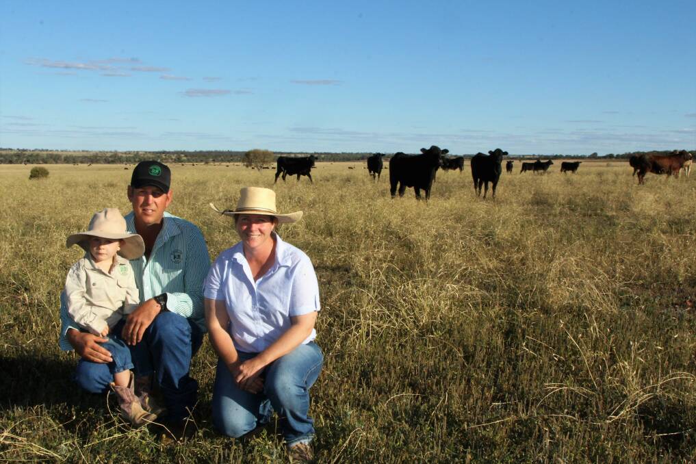 Growing on grass: Archie, Gerard and Jody Tully at Mareto with some of the Rangelands enterprise's first calf Angus composite heifers. Picture: Sally Cripps.