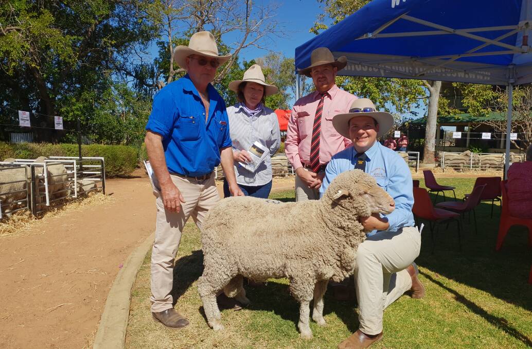 John and Jo Milne, Loongana, Longreach, purchasers of the top priced Barcaldine Downs poll Merino ram, with Joe Groves, Elders Barcaldine, and Barcaldine Downs overseer, Matt Baker. Pictures - Sally Cripps.