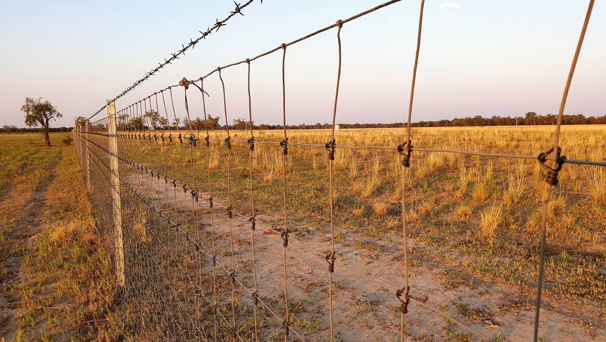 Kangaroo industry questions impact of fences
