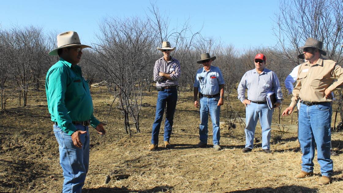 Attendees at a DCQ prickly acacia field day in the Aramac district in 2014.