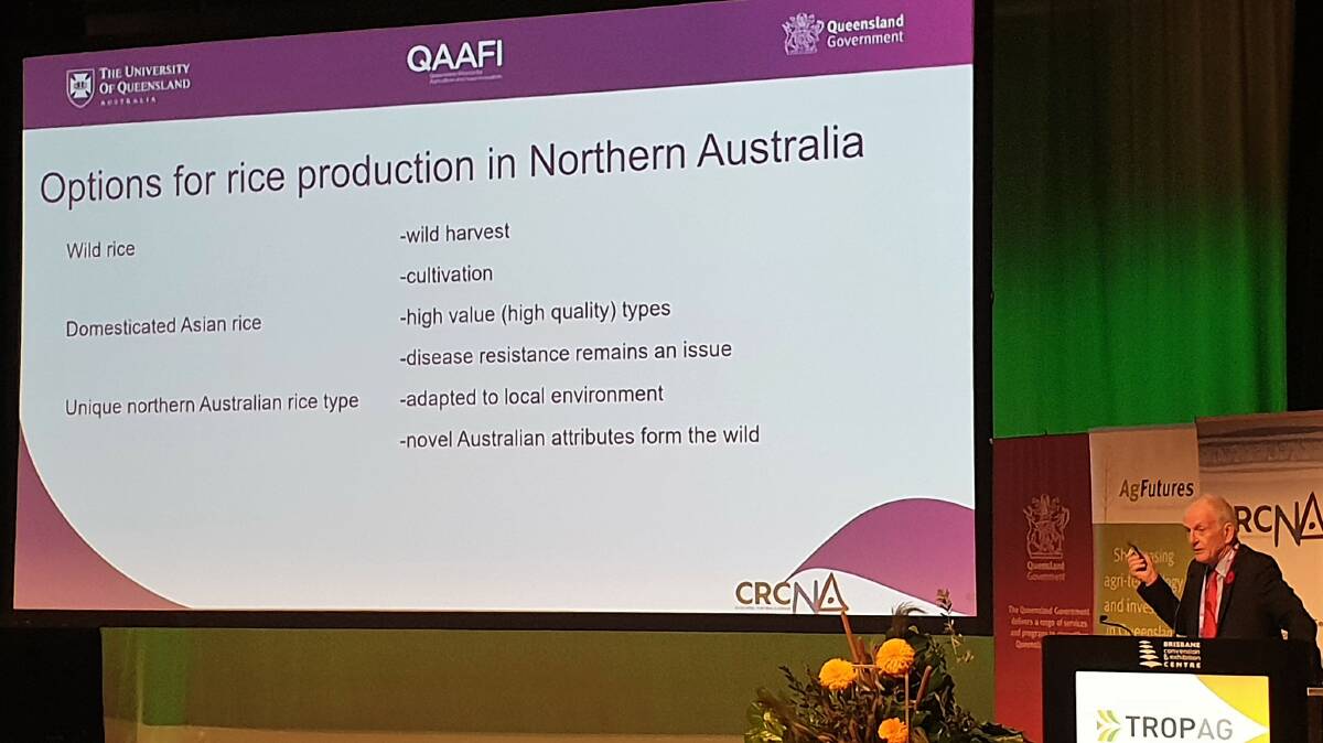 Native northern Australian rice is being added to the mix of possibilities for development under the CRC Northern Australian agenda.