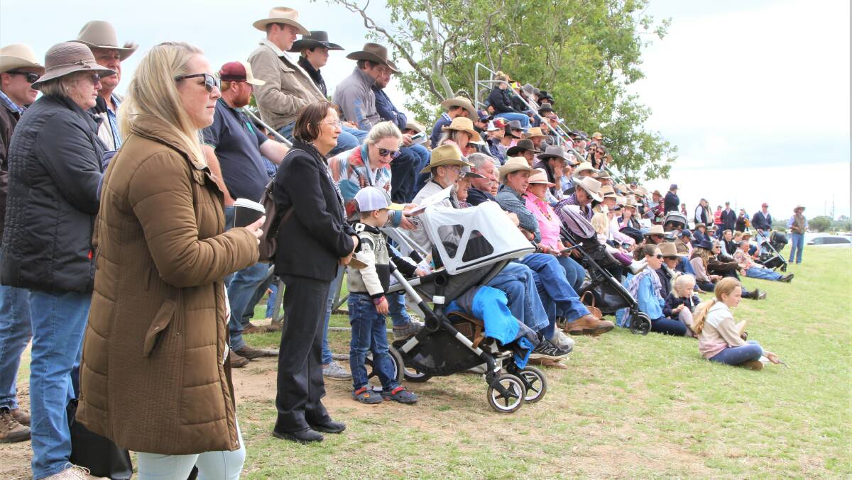 The stands were packed with interested spectators and buyers overlooking the selling ring.