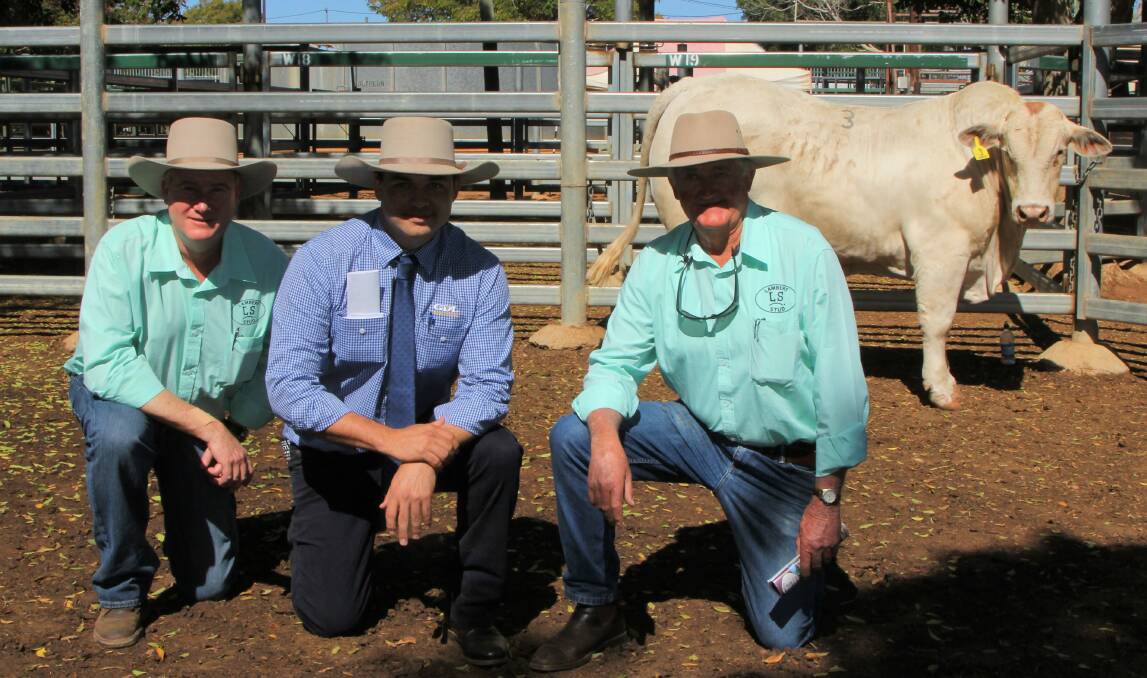 Jack Burgess, GDL Blackall, centre, pictured with Scott and Pat Bredhauer, purchased the top priced Charbray bull for $8000 on behalf of the Welsh Cattle Co, Taroom.