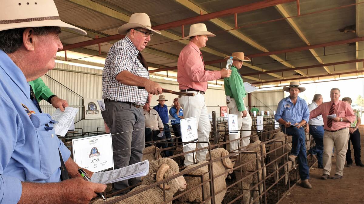 Wilgunya's Max and Benn Wilson, left and second right, followed Steve Burnett's enthusiastic auctioneering intently.