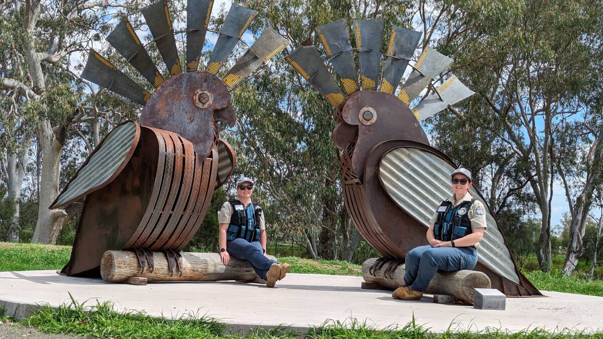 QPWS wildlife officers take in the sights of Roma, including a visit to the sculpture trail. Picture supplied.