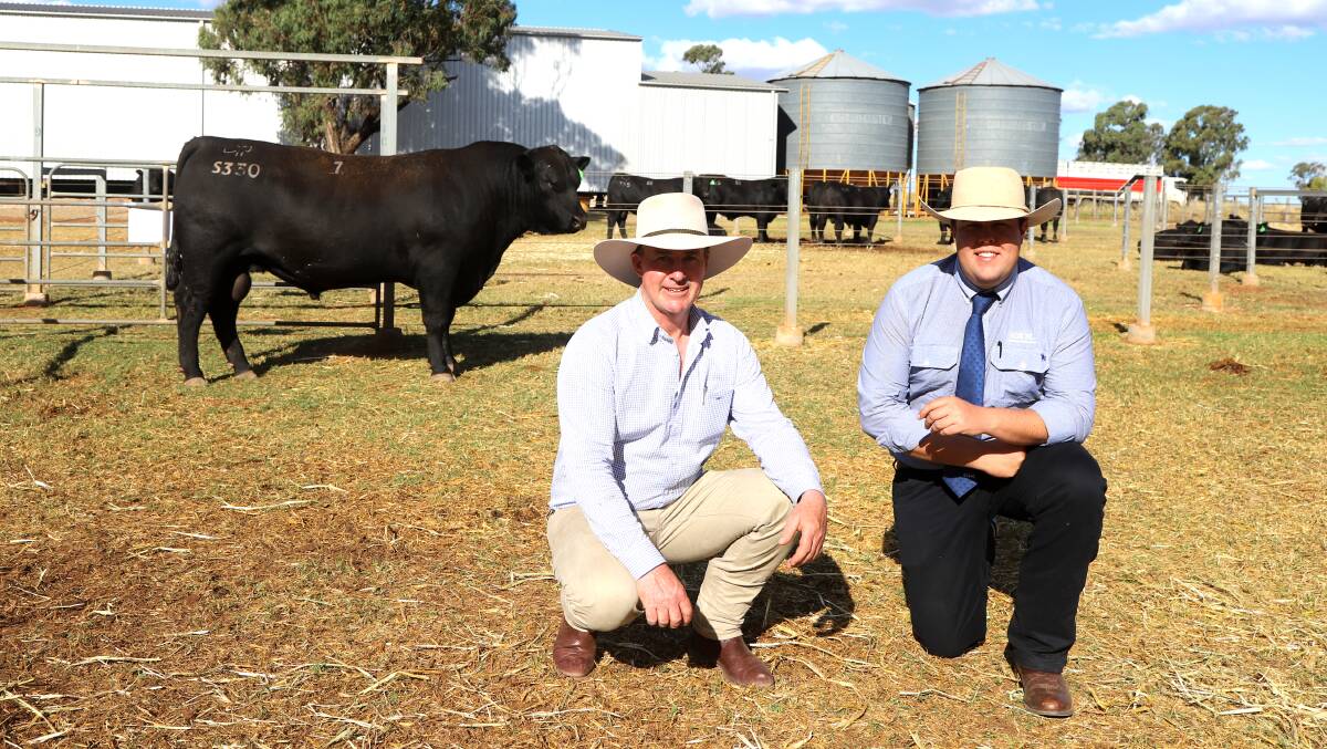 Raff Angus stud principal Andrew Raff and GDL Wandoan representative Will Loudon with equal top priced bull, Raff Appeal S330pv. Picture: Sally Gall